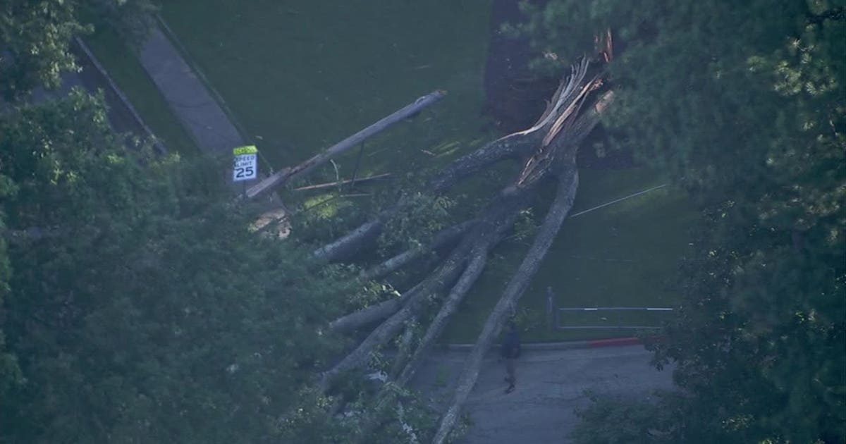 Fallen tree knocks out power at Sagamore Hills Elementary School