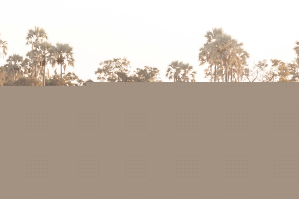 Dertour Deluxe baut Afrika-Angebot aus