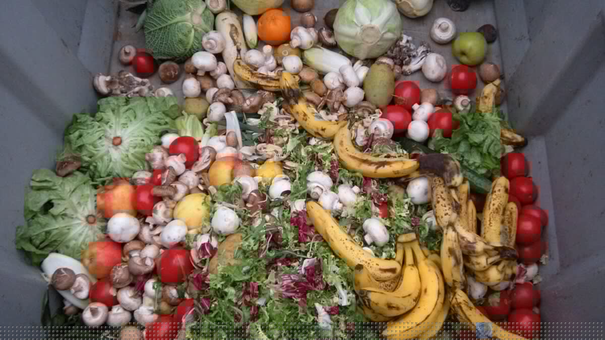 The Fix for Food Waste Comes With a Major Catch