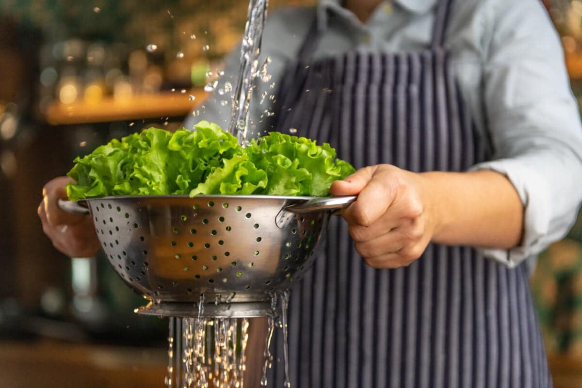 ¿Qué partes quitarle a la lechuga para evitar enfermedades? Expertos dicen