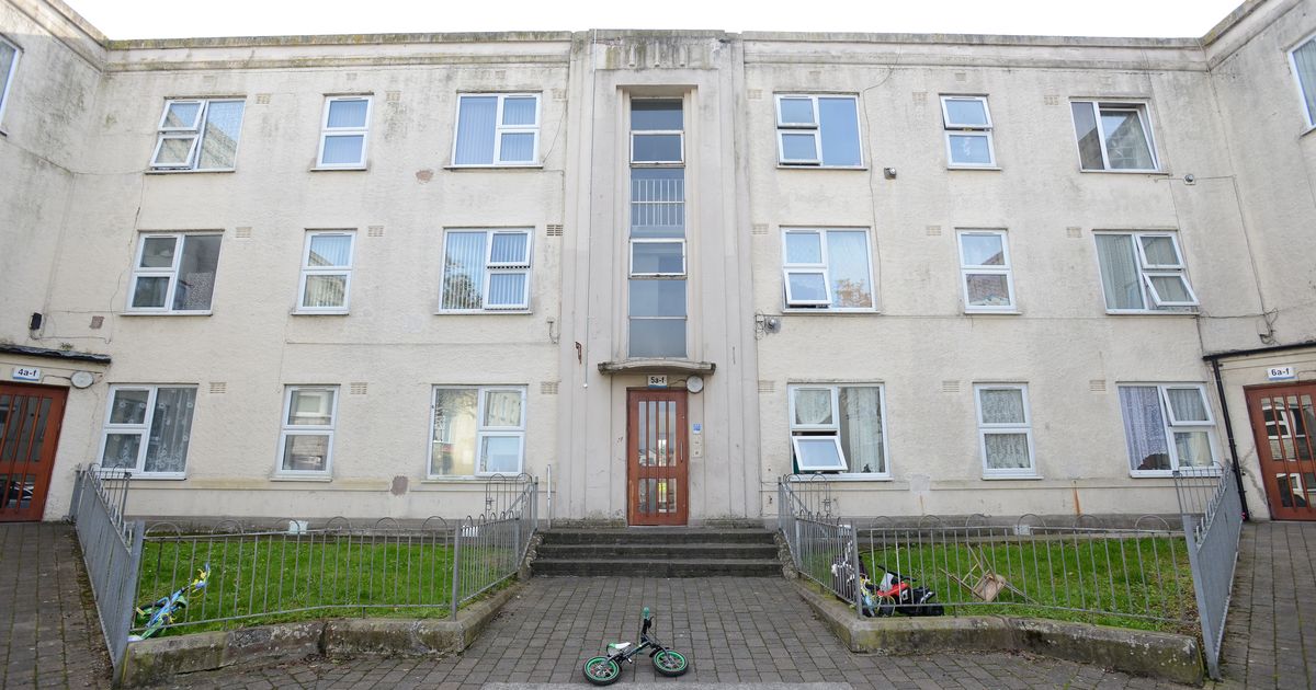 Two arrested after armed police swarm Plymouth flats