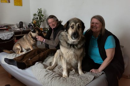 Nach Hunde-Attacke ist Reichenauer Familie um Schadensbegrenzung bemüht