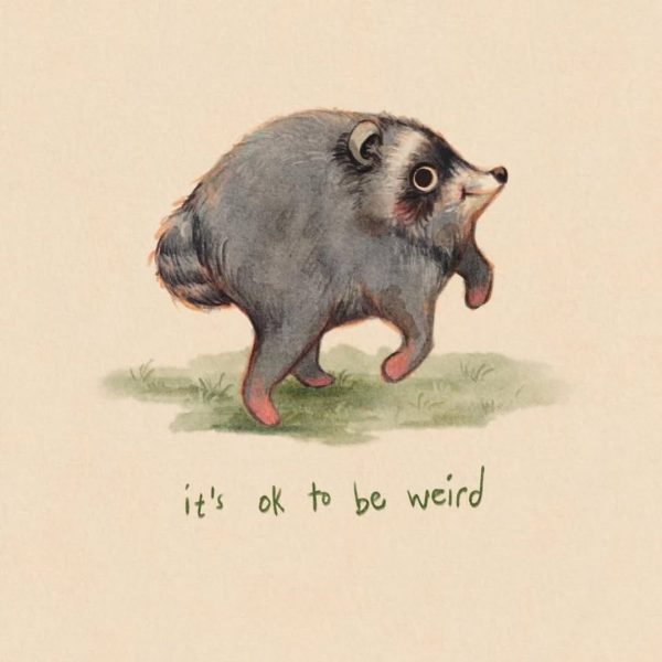 Jimothy the Raccoon - it's ok to be weird