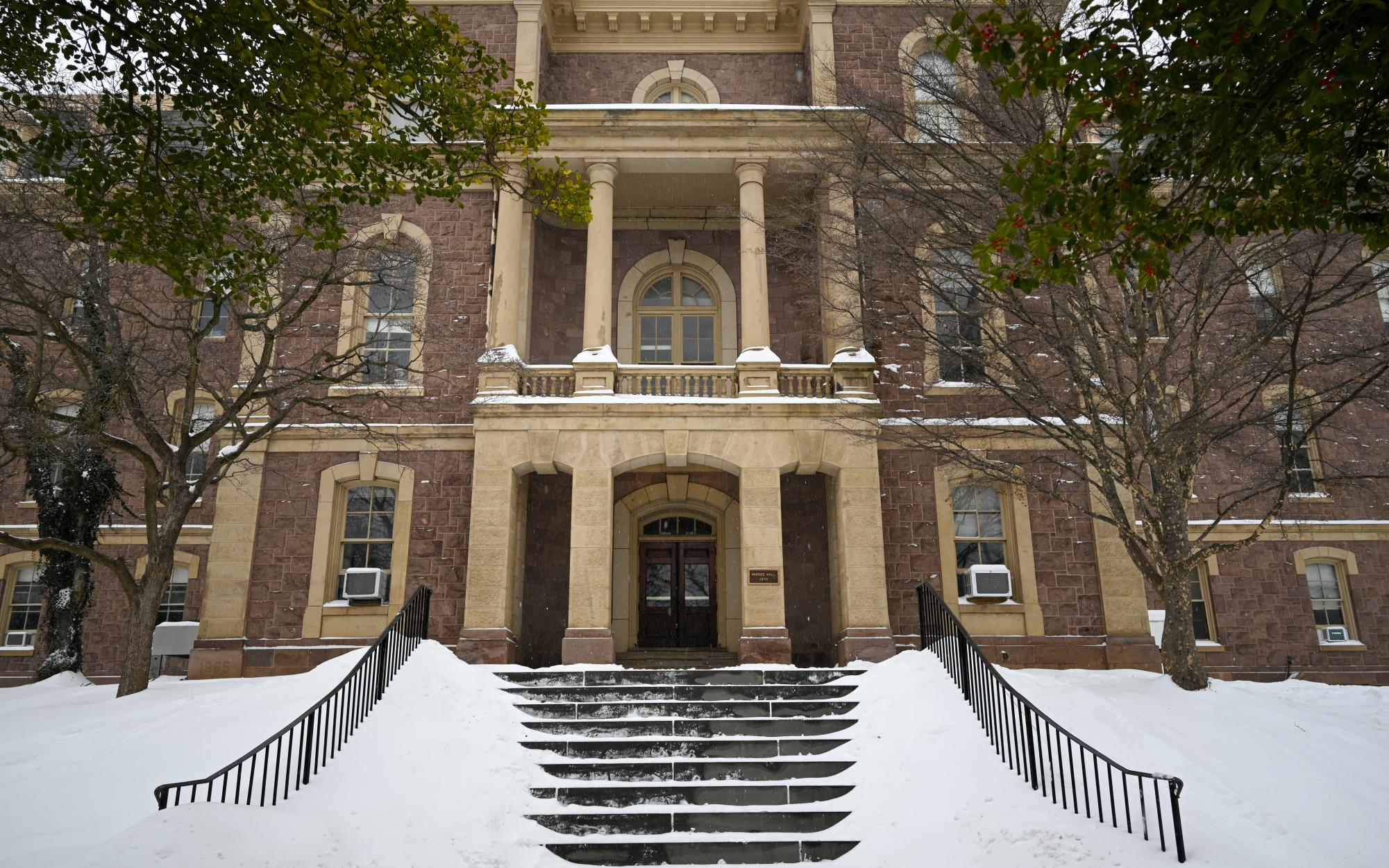 Leopards leave tracks in the snow