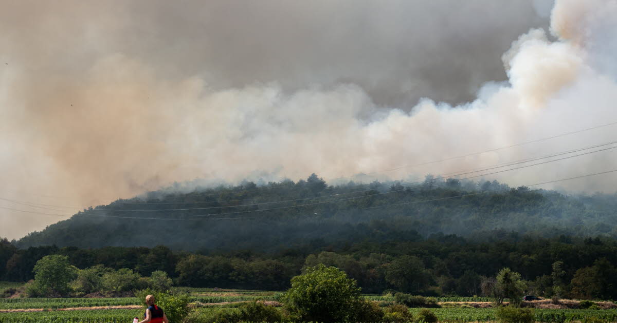 Faits divers. Feu à Couchey : les gendarmes lancent un appel à témoins