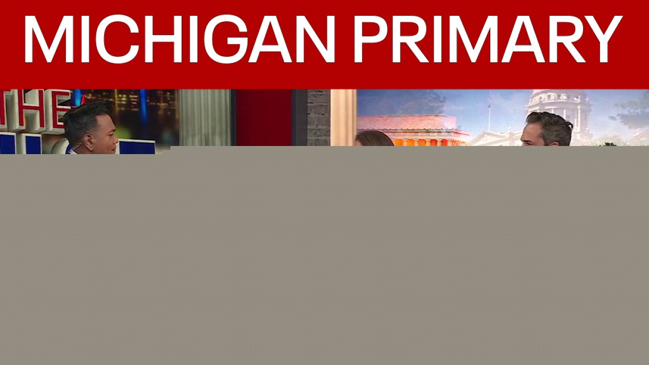 Michigan primary: What's at stake in senate, governor races