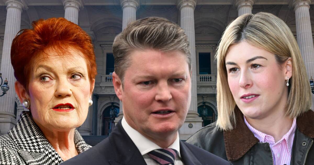 'No viable opposition': reader survey tips One Nation surge in regional Vic