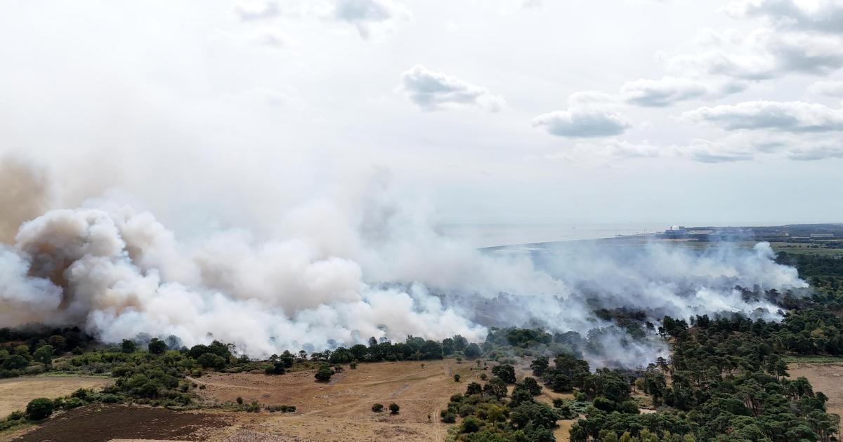 Why climate change is becoming a serious threat to the UK's food supply