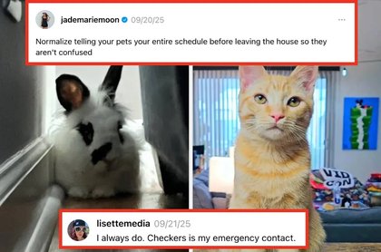 18 Women Who Tweeted The Most Hilariously Inappropriate Things This Month, And I'm Still Recovering From Belly Laughs