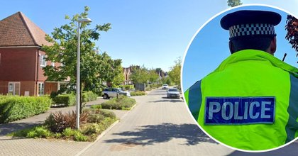 Neighbourhood struck by wave of vehicle break-ins