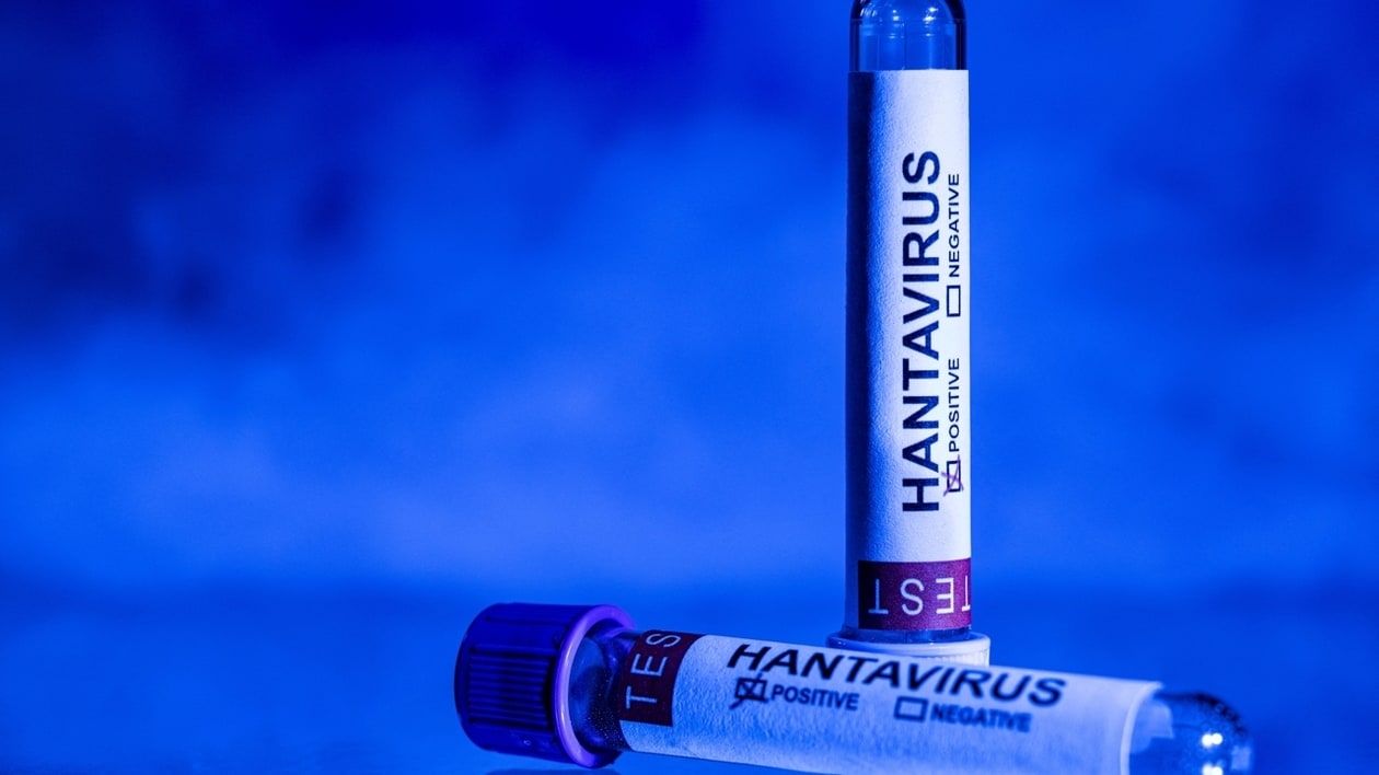 Hantavirus : séjour en France, charge virage faible… Ce que l’on sait du patient franco-argentin isolé en Espagne