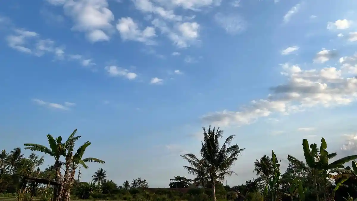 Prakiraan Cuaca Kota Surabaya, Kediri, Madiun, Blitar, Rabu 12 Agustus 2026: Cerah Berawan
