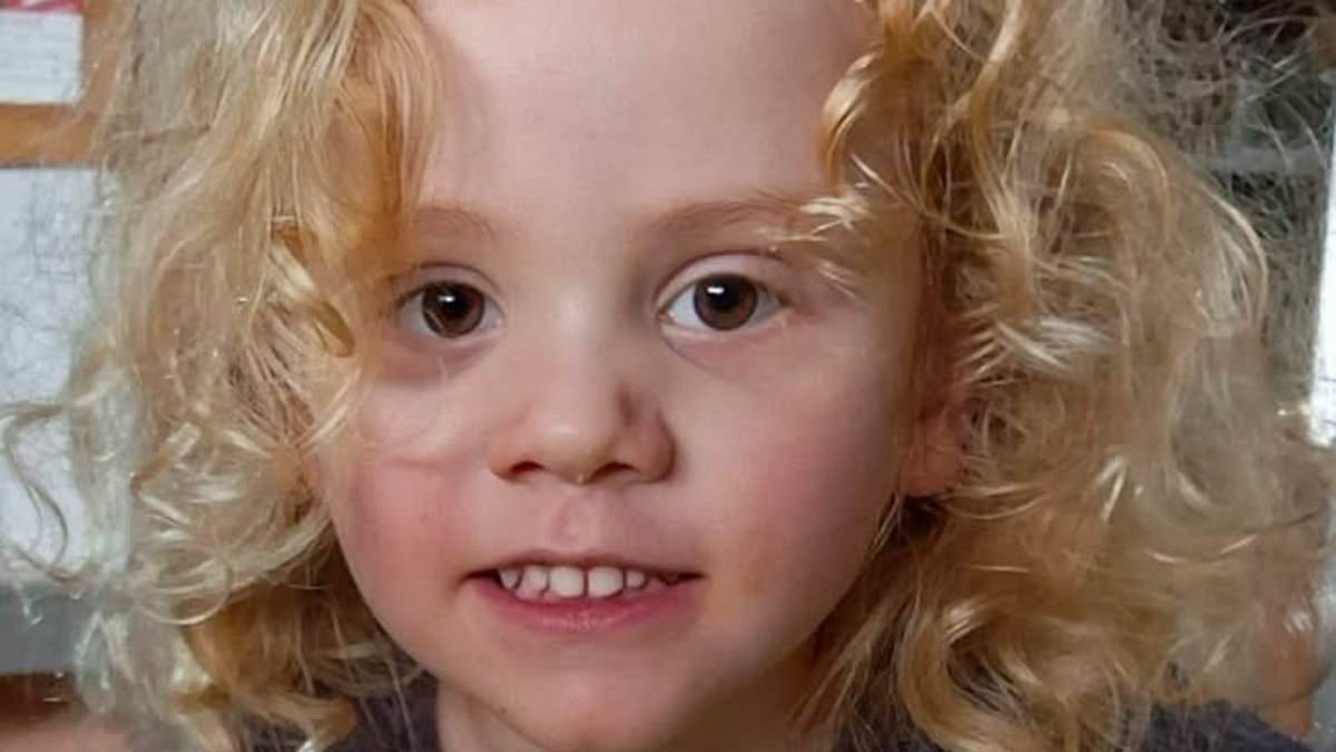 Could there be a miracle ending in search for four-year-old who vanished in Australia's Outback? Police scale back search for boy but admit he MAY still be alive in a well or mine