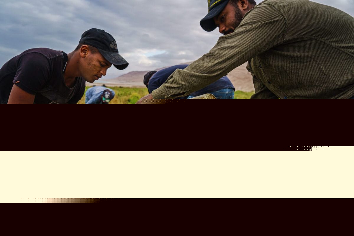 Jordan’s Syrian Refugee Response and Discriminatory Development Aid