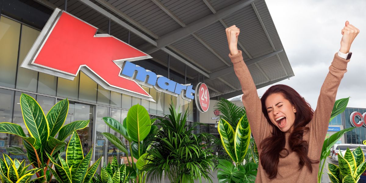 This $29 Item from Kmart has Aussie’s Pimping Out Their Homes!