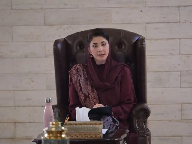CM Maryam orders arrests over mother, infant daughter's deaths in Lahore manhole