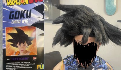 Expectation vs. Reality - A Halloween costume