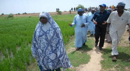 The Reality of Rice Revolution in Nigeria And Why We Must Cheer