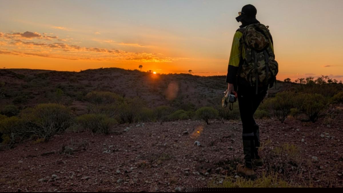 Novo to drill high-grade NSW gold targets at potential new frontier