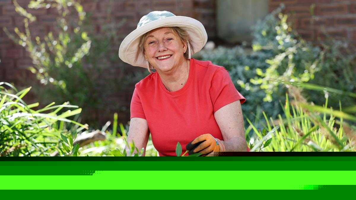 Sabrina Hahn: How to remove citrus gall wasp and oxalis weed