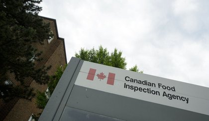 Food inspection agency to cut more than 1,300 jobs, says union