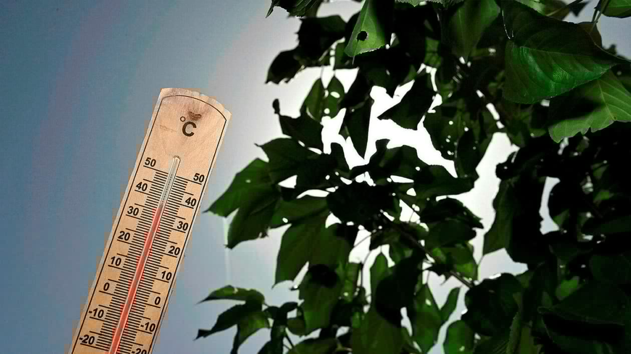 Canicule : toujours dix départements en vigilance orange, attention au vent et aux orages