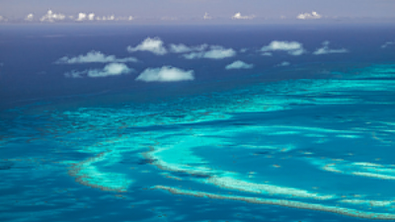 Comment on Campaign To Support Stronger Ocean Protection by Hilarious