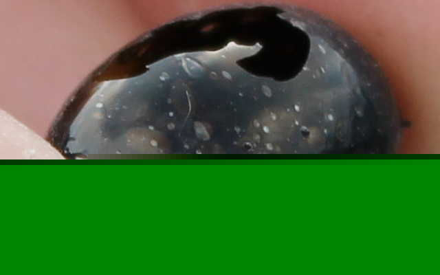 Comment on ‘Coolest’ lava rock found at Kilauea by finasteride propecia buy online