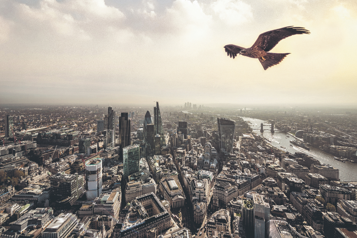 Themis snaps us Pasabi in AI fraud fight as financial crime costs soar