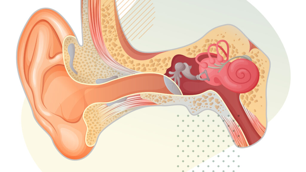STAT+: Skylark Bio kicks off new gene therapy trial for deafness
