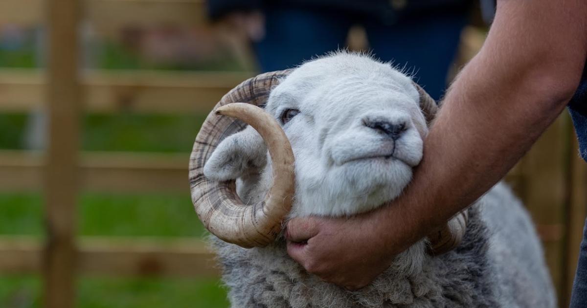 Health warning for families visiting farms in North Yorkshire this summer