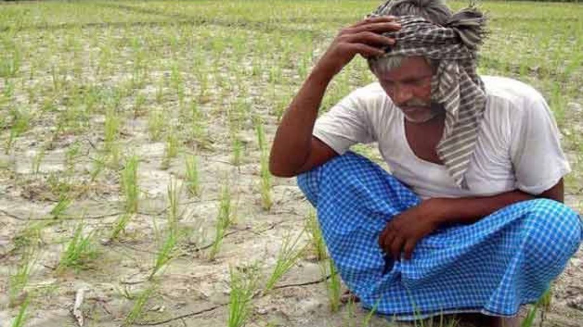 Over 10,700 farmers died by suicide in 2023; 38% of total cases reported from Maharashtra: NCRB