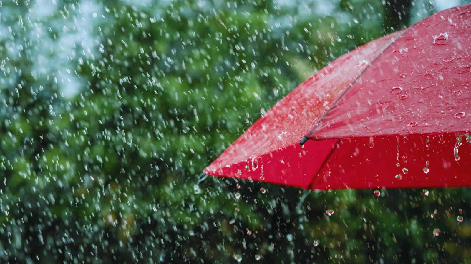 Heavy rain lashes Delhi; IMD issues orange alert