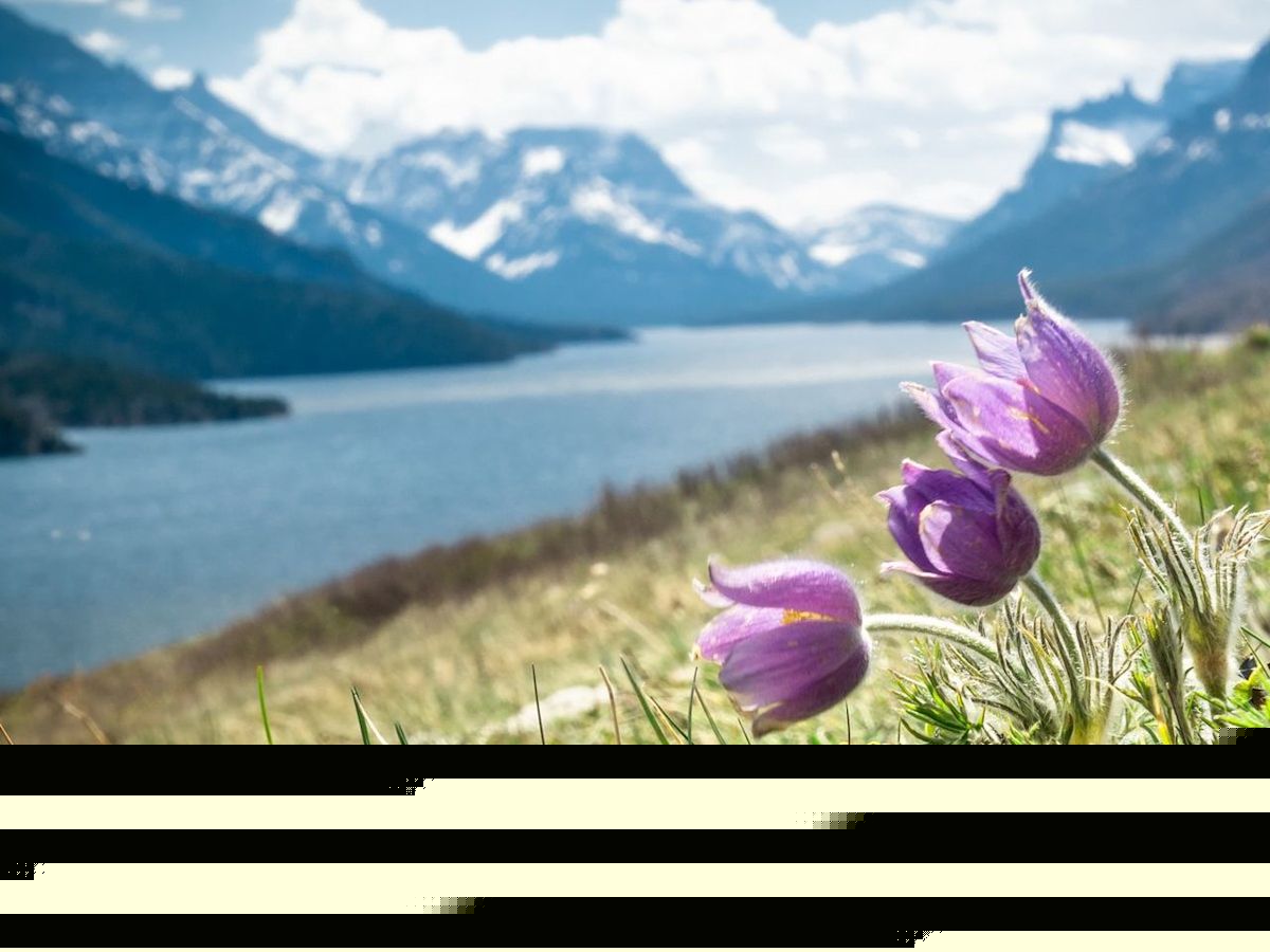 Search efforts underway in Waterton Lakes National Park to find missing 81-year-old B.C. man