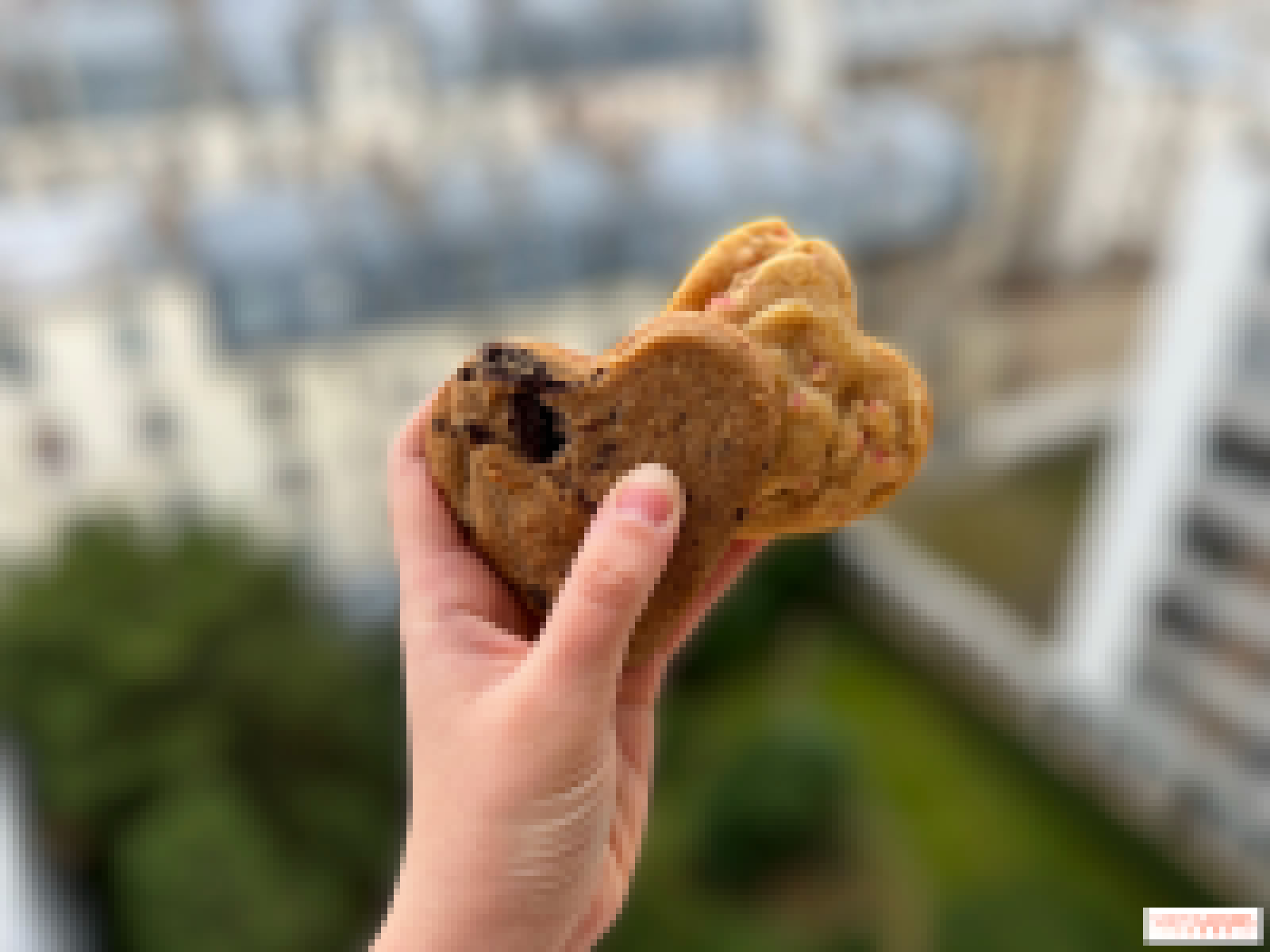 Cookie Day 2026 : Distribution de cookies gratuits en septembre