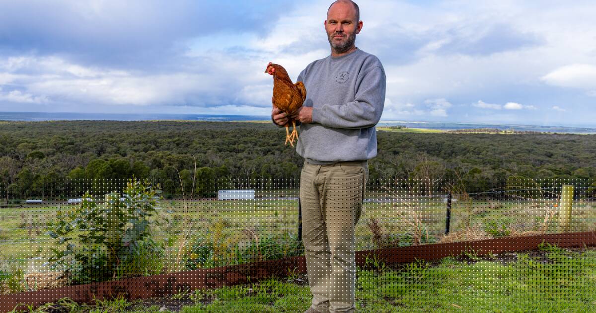 Fears for Victoria's egg industry as more bird flu cases are confirmed