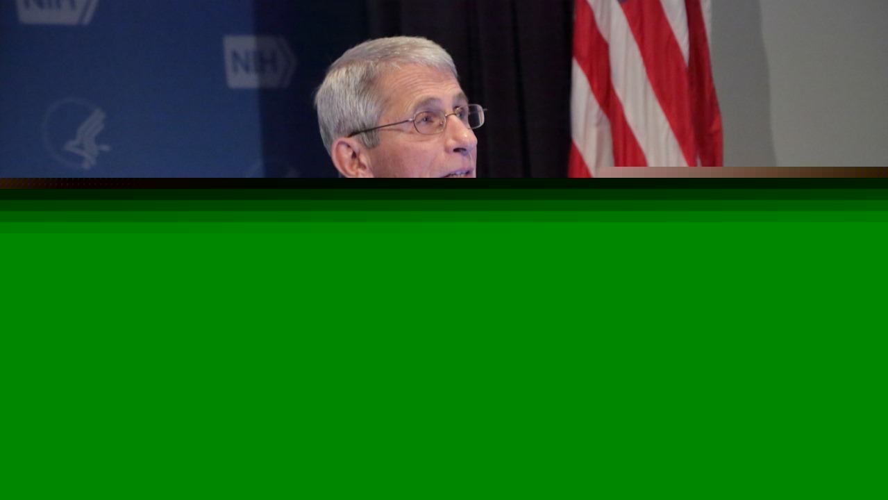 Fauci Texts Reveal Concern Over Pregnancy, Covid Vaccine