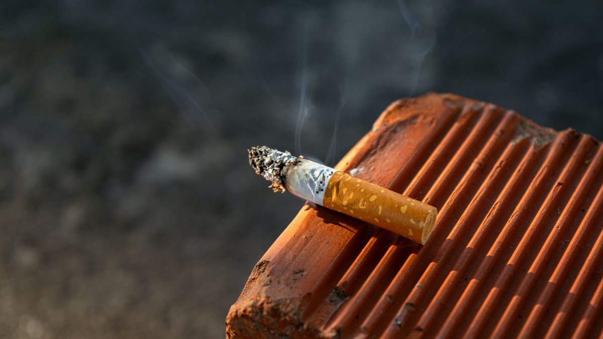 Incendies et cigarettes : faut-il punir plus sévèrement les jeteurs de mégots ? Comment les autres pays européens sanctionnent ce geste dangereux