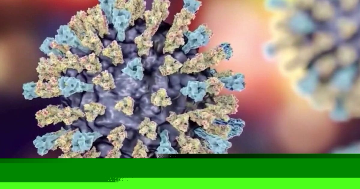 Cyclosporiasis outbreak deaths: 2 dead in Michigan as cases continue to climb