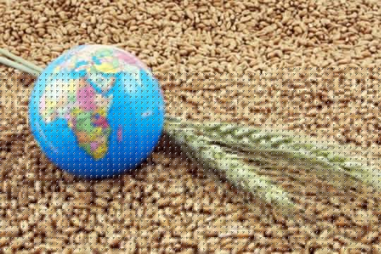 Мировые цены на&nbsp;продовольствие вновь выросли в&nbsp;июле&nbsp;&mdash; ФАО