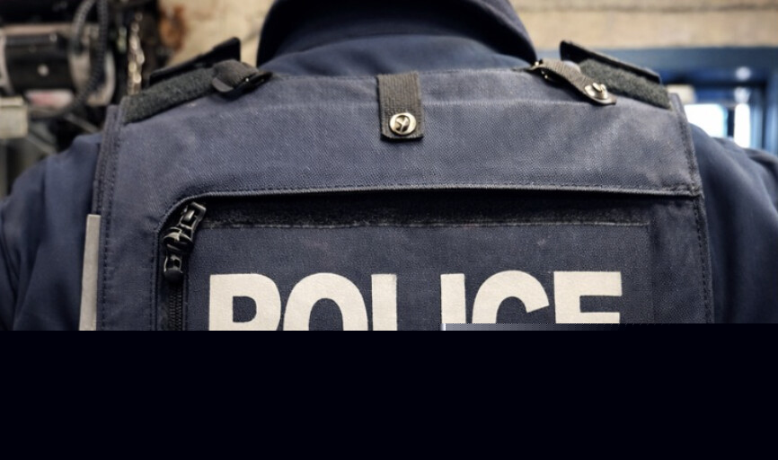 Driving while prohibited and impaired led to vehicle impound, three-month prohibition (Nelson)