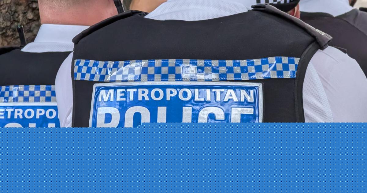 Woman attacked by dog outside London Overground station as police hunt owner