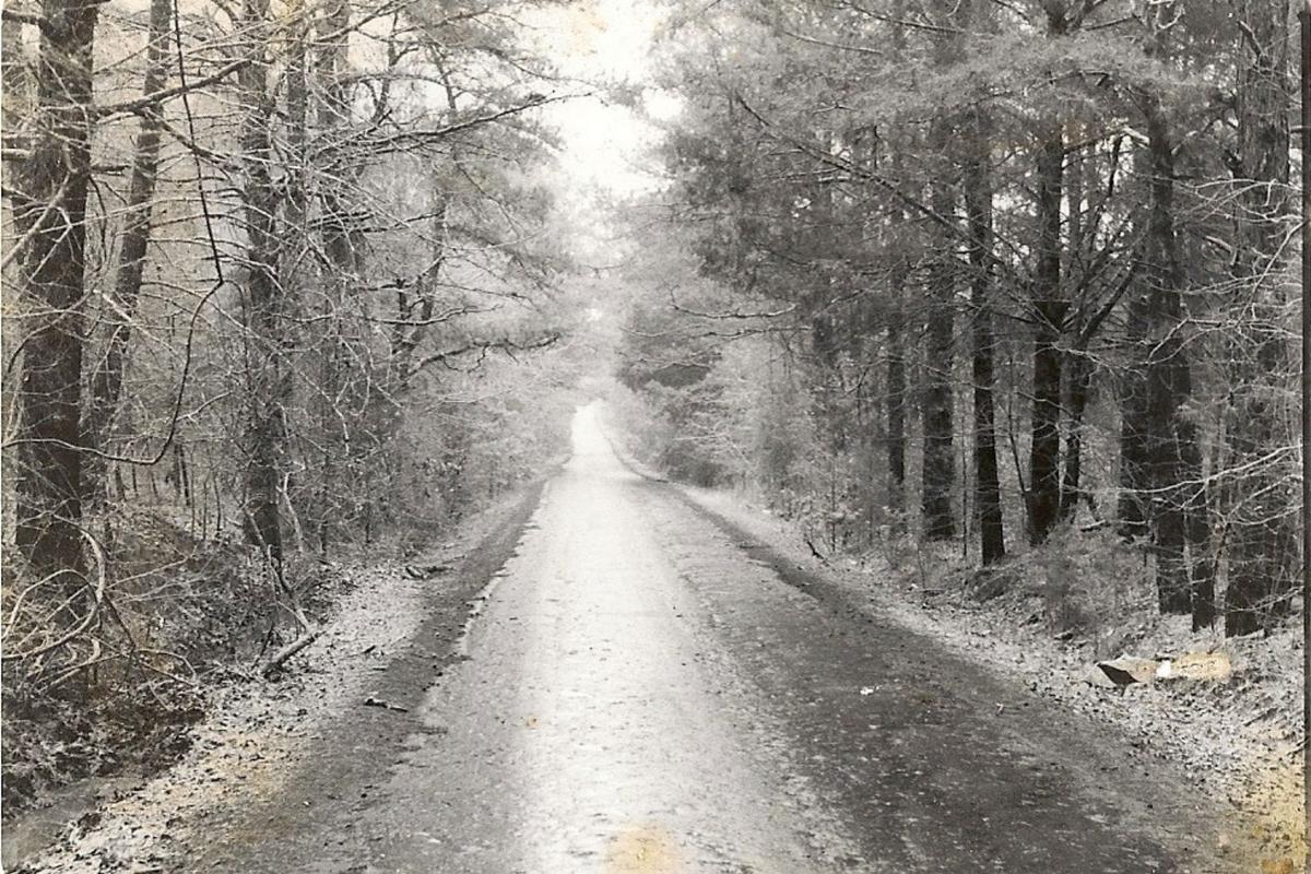 Do You Remember Tyler’s ‘Werewolf Road’?