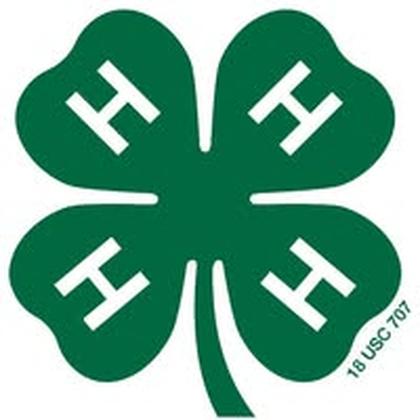 RUNNELS COUNTY 4-H FOOD SHOW SET FOR OCTOBER 12 – Food Truck Favorites