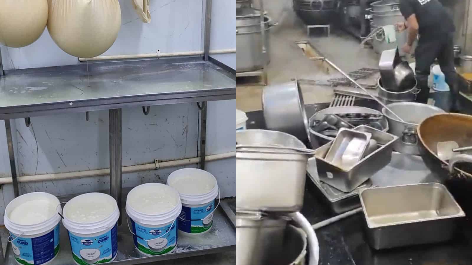EatClub kitchen license suspended over cockroaches, fake labels