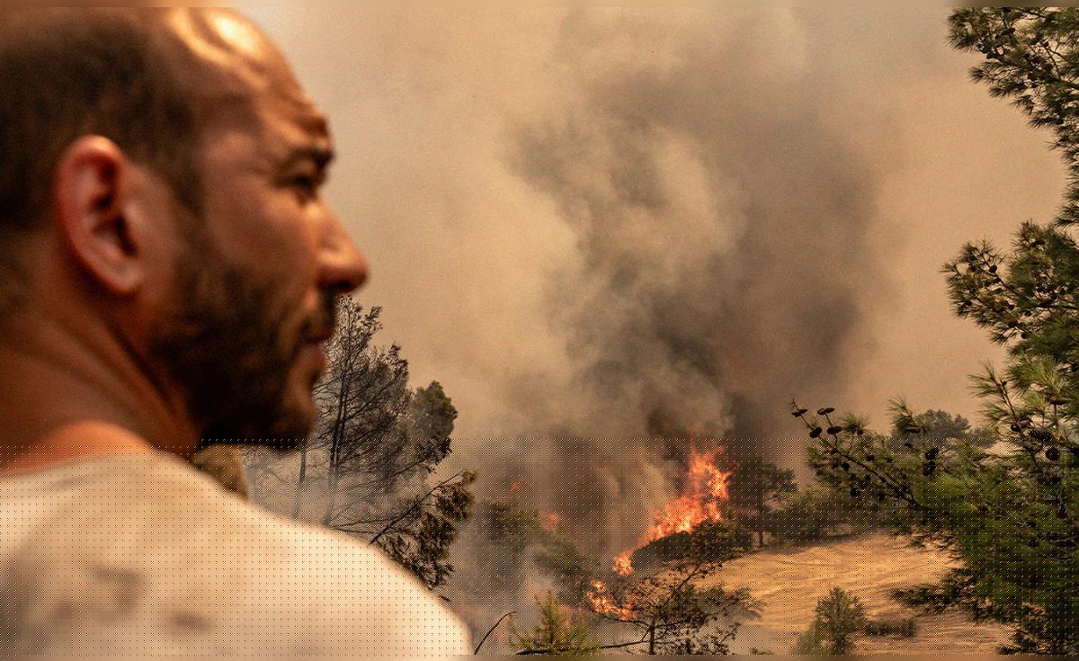Sequía, incendios y alertas sanitarias: nueva ola de calor golpea varios países de Europa con temperaturas históricas