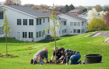Branch Out, Dubuque With Free Trees for Neighborhoods
