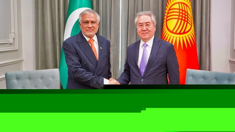 Foreign Ministers of Kyrgyzstan and Pakistan discuss expanding cooperation