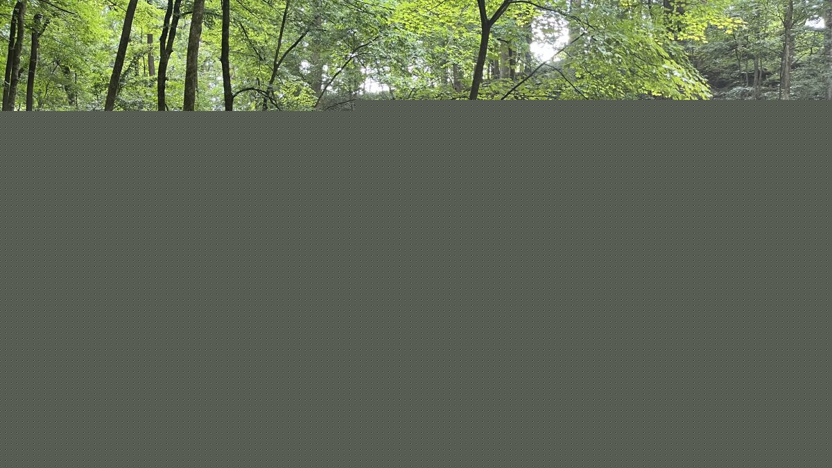 Mammoth Cave brought $73.2M to local communities in 2024