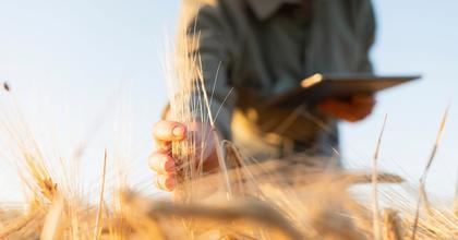 PepsiCo and Unilever step up with new regen ag push